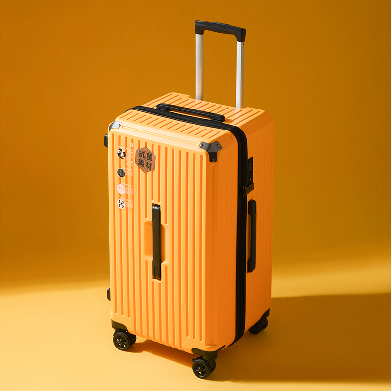 Ausaulio 防爆拉鍊超輕抗菌5輪行李箱_拖喼 (2110)