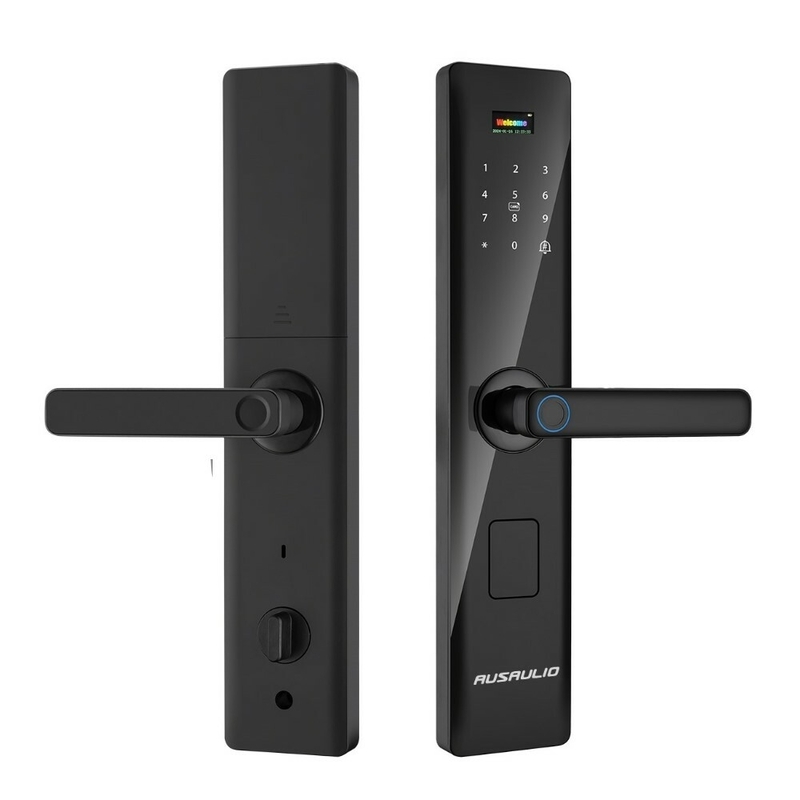 Ausaulio V5指紋識别智能門鎖 (DL-V5)